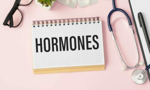 17681704972476213867054104563862